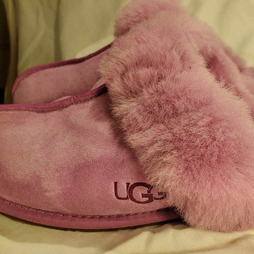 UGG Scuffette II Pink Slippers